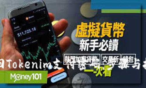 如何找回Tokenim支付密码：步骤与技巧指南